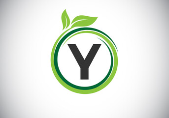 Initial Y monogram letter alphabet in a spiral with green leaves. Font emblem. Nature icon sign symbol. Modern vector logo design for business healthcare, nature, farm, and company identity.