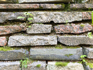 Background of old overgrown tiles in close-up. Texture of overgrown stone