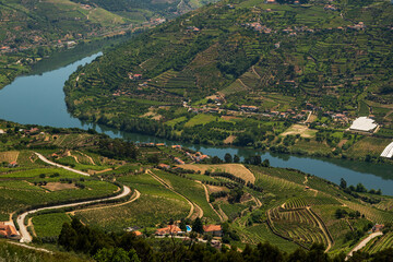 Scenic overview of the vineyards in the beautiful Douro river valley from „Miradouro de São Silvestre do Cimo do Douro“ viewpoint, Vila Real district, Viseu district, Portugal - obrazy, fototapety, plakaty