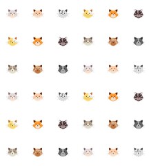 White background pattern with cat faces. Colorful cute pet wallpaper.