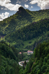 Fototapeta na wymiar image with pine forests on the dam from Colibita, Bistrita, Romania, 2021