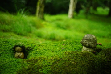 Smiled stone statue in japanese moss garden of Sanzenin, Kyoto