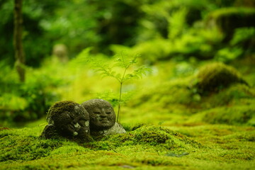 Smiled stone statue in japanese moss garden of Sanzenin, Kyoto