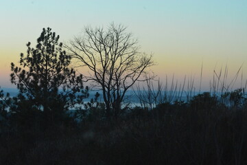 Obraz premium ametista do sul