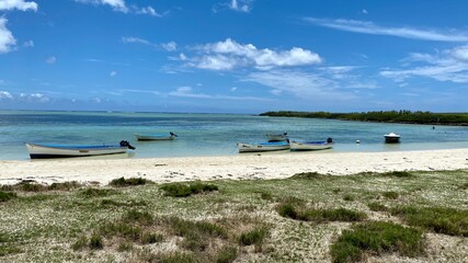 Fototapeta na wymiar Bord de plage a l'île Rodrigues