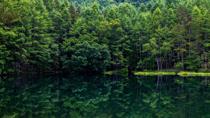 御射鹿池　夏　緑