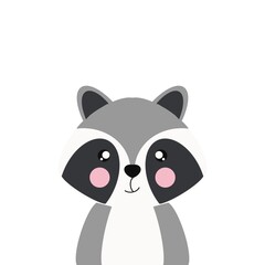 raccoon