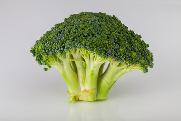 broccoli on a white background