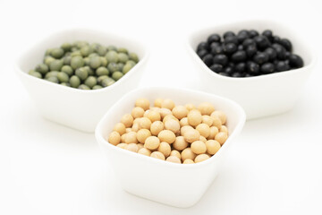 いろいろな大豆