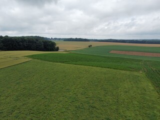 field and blue sky