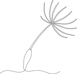 Continuous one line drawing of dandelion. Minimalistic drawing of phrase illustration