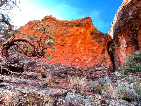 セドナ/Sedona