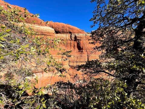 セドナ/Sedona