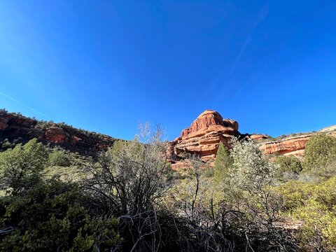 セドナ/Sedona