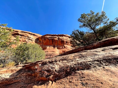 セドナ/Sedona