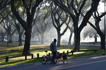 Stof per meter Buenos Aires, Argentina - July 5, 2021: a dog sitter in a public park in Palermo neighborhood © Chris Peters