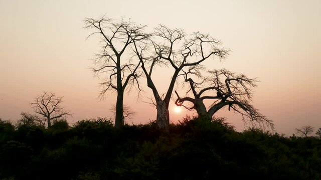 Traveling up go to, drone 4k ,sunset in Africa, Angola, Africa 12