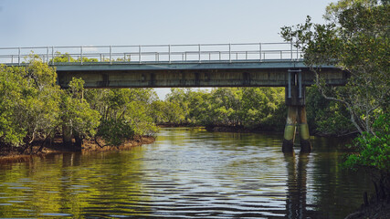 Railway bridge over a tidal creek lined with mangrove trees