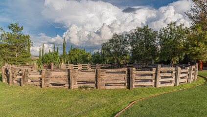 Ruedo caballos hacienda. 