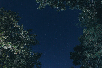 Fototapeta na wymiar The night stars