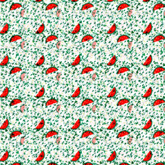 Slices of watermelon on the grass. Backgrounds are not seamless for scrapbooking, needlework and printing on all types of clothing and fabrics. For menus in restaurants,cafes. Country, rustic, doodles