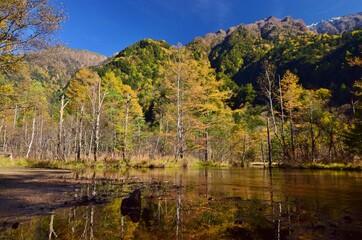 上高地 田代池　秋景色