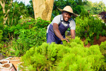 African male gardener, florist or horticulturist wearing an apron and a hat, working in a green and colorful flowers and plants garden