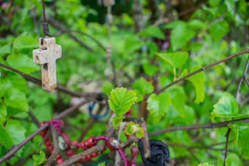 rosaries in a bush