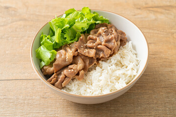 Japanese Pork Donburi Rice Bowl