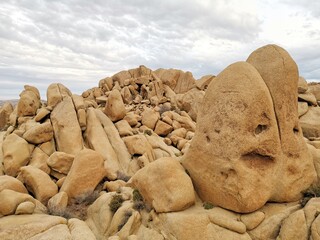 Fototapeta na wymiar stone lion on the beach