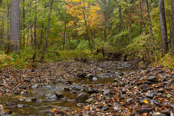Sikhote-Alin Biosphere Reserve. Far Eastern reserved forest. A clean river flows through a dense reserved autumn forest.