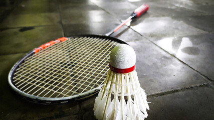 badminton racket and shuttlecock
