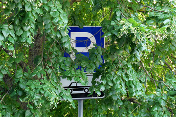 Road sign closed by tree leaves. Badly visible sign.