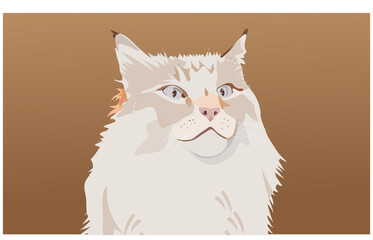 illustration of a cat, vector of a cat.