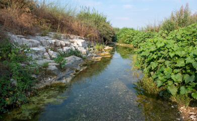 Fototapeta na wymiar Headwaters of wadi Taninim, Israel. Hot summer day. Plenty of green vegetation growing on the banks of the stream. Clear water and mirror-like surface of the stream.