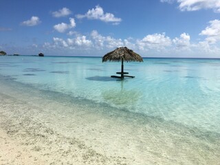 tropical paradise beach