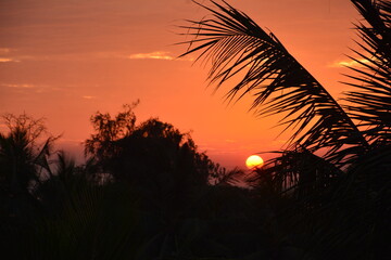 sunset silhouette surat dumas