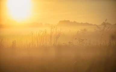 sunrise over the river