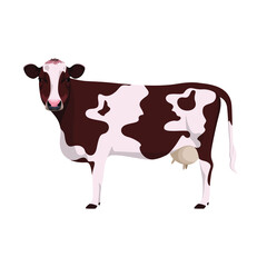 A cow with brown spots on a white background. Farm animals.