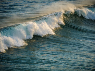 Breaking wave. Garden Route. Western Cape. South Africa