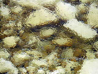 波紋が広がる水面