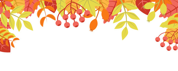 Autumn nature background with leafage pattern concept. Horizontal web banner with orange, red and yellow leaves and berries elements. Cute plants border. Vector illustration in flat design for website