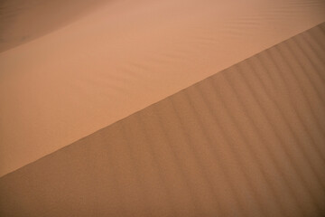 Sahara