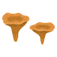 Musrooms, natural healthy organic nutrition product, chanterelle. Vector doodle cartoon flat trendy illustration hand drawn isolated