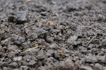 Black soil macro photo, close up image of wet mud.