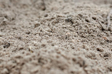Grain of sand macro photo, part of sea beach background.
