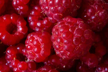 Raspberry macro background. The texture is food. Ripe raspberries in close-up. The concept of summer food, freshness, vitamins. Beautiful berries in a selective focus. Summer dietary healthy dessert.
