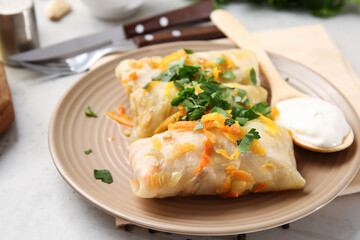 Plate with tasty stuffed cabbage rolls on light background