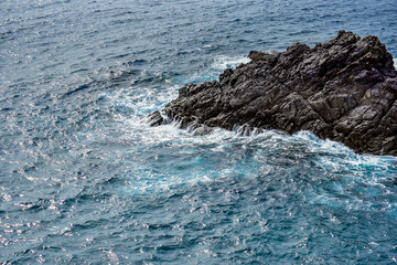 BlackROCK blue ocean