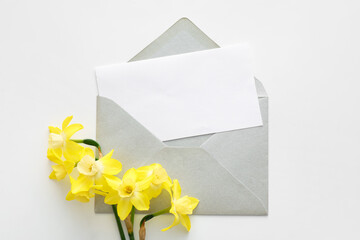 Beautiful daffodils and envelope with blank card on white background